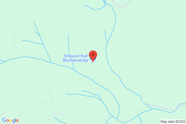Straeussl Karl Blumenstube