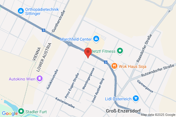 Dr. Martins da Cunha GmbH