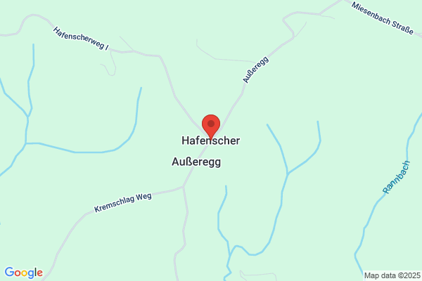 Johann Hafenscher