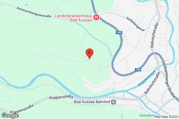 Susanne Loeffelmann Ges.mbH