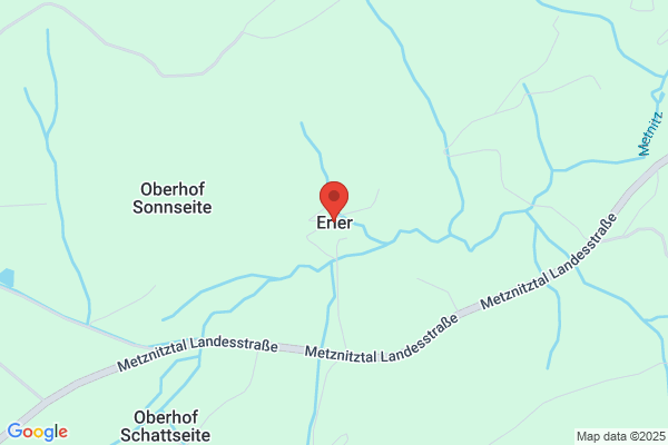 Alois Erler