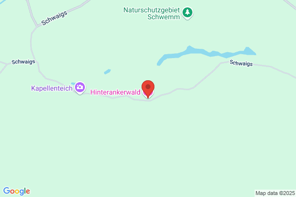 Hinterankerwald