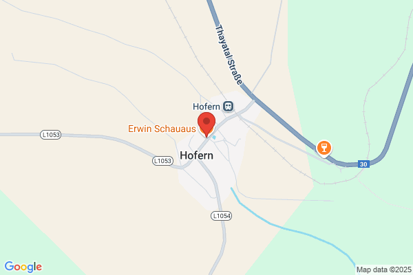 Erwin Schauaus