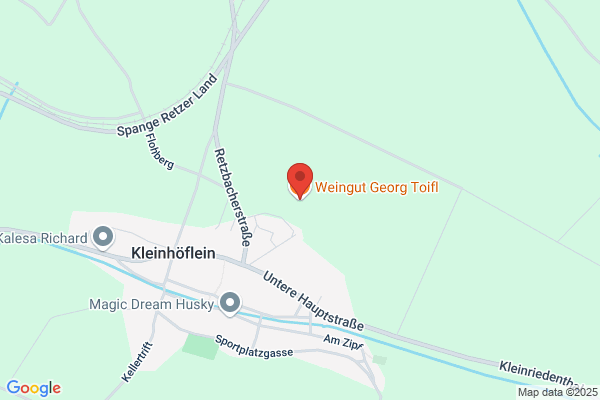 Ing. Herbert Toifl