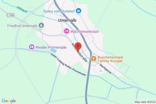 Trauner