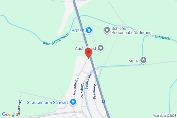 Felzl Gerhard OHG