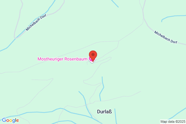 Fuerst Herbert