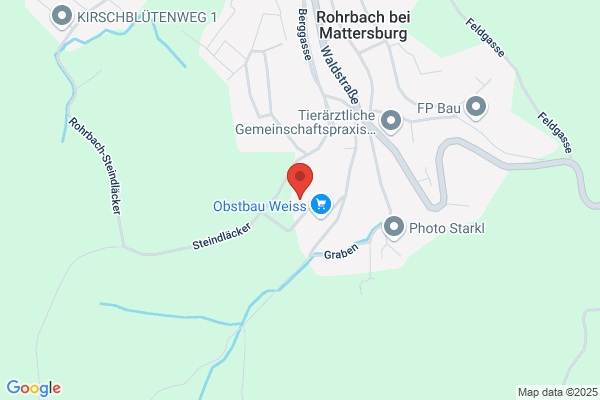Mamo Baumaschinenverleih- Deichgraeberei