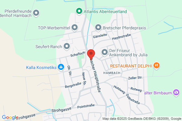 Geissler Friedtraud