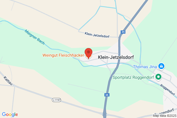 Alfred Fleischhacker