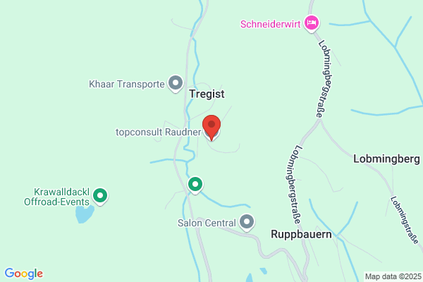 topconsult Raudner KG