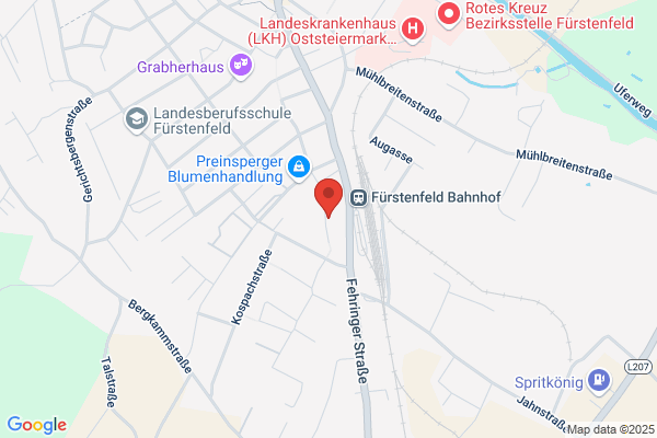 Fahrschule Fuerstenfeld