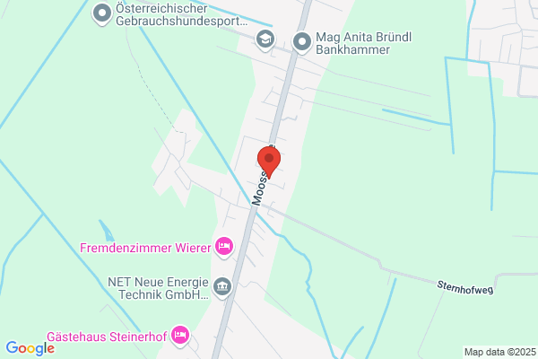 Wenisch Bernhard Univ Doz DDr