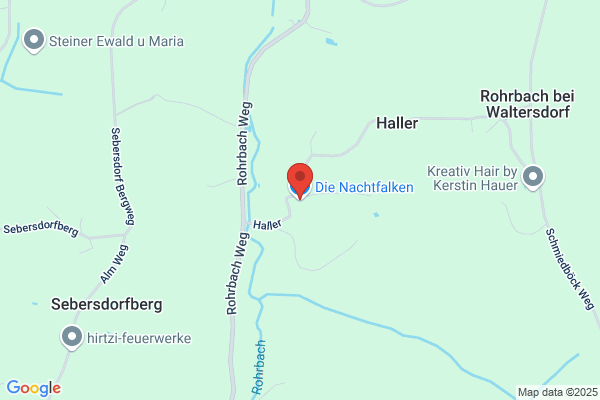 Die Nachtfalken