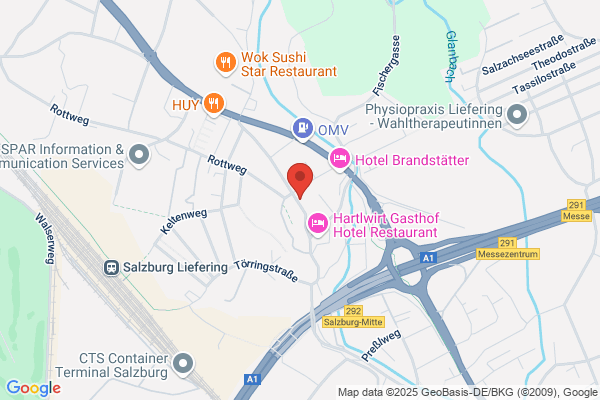 Fronius International GmbH und CO KG