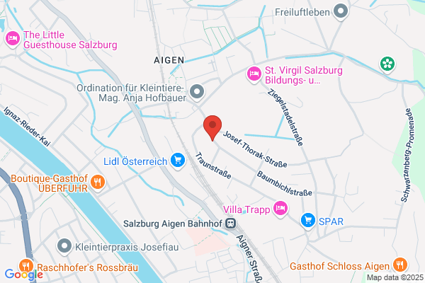 Hofstaetter Andrea Mag - Systemische Familientherapie - Aufstellungsarbeit