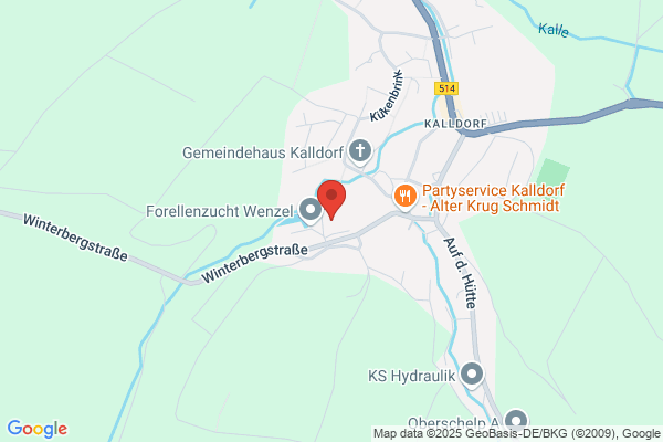 Gemeindeamt Staatsbuergerschaftsverband