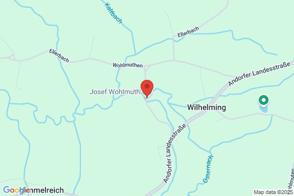 Josef Wohlmuth