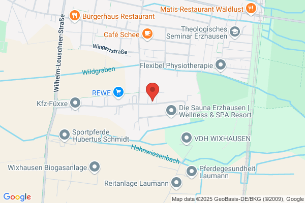 Taxi-Blitz Fleischhacker- Hoeller OEG