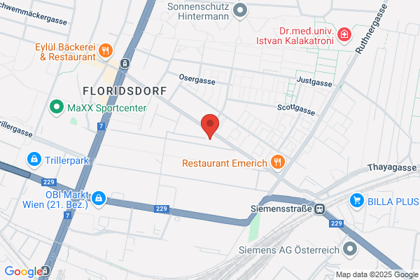 DIE HUNDELADY | Coaching 4 Ladies mit Hund