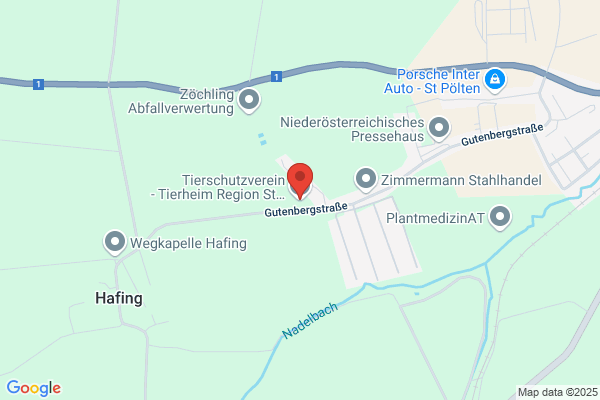 Tierschutzverein - Tierheim Region St. Poelten