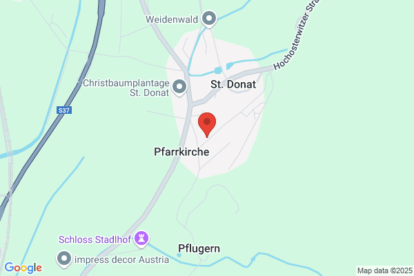 Gorgonit