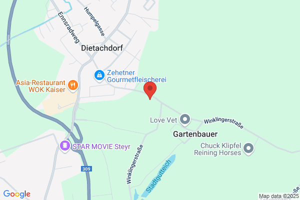 Car Polish G Nimmrichter OEG