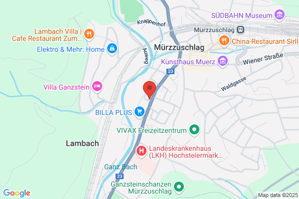 Sozialdemokratische Partei Oesterreichs