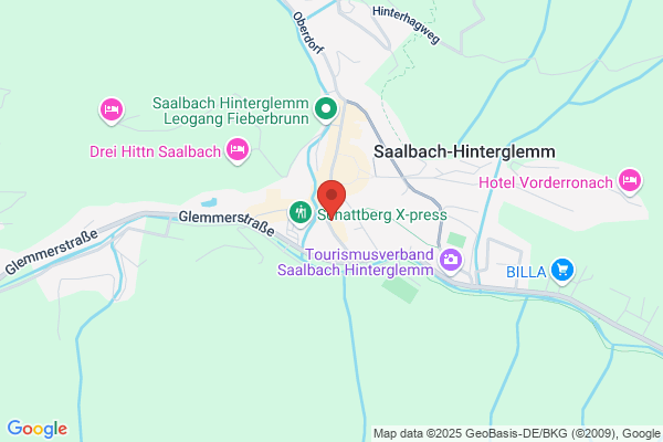 Alpenhotel Saalbach