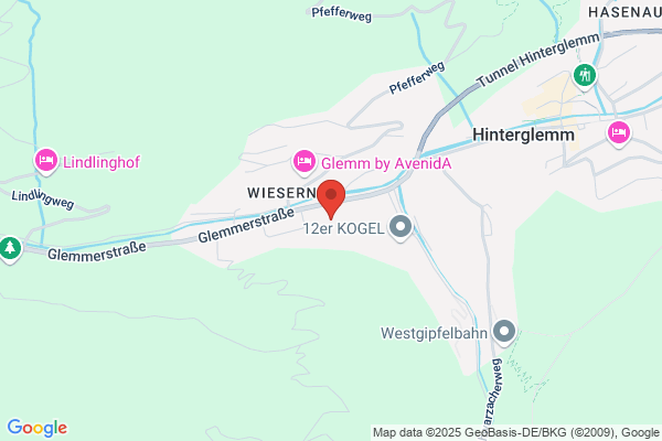 Hotel Pension Wiesern