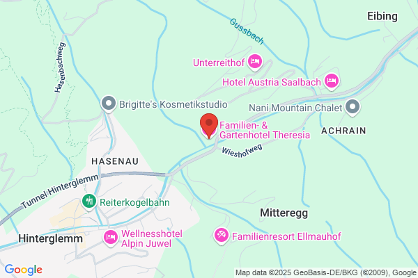 Hotel Theresia Gesellschaft mbH und Co KG