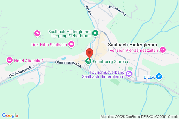 Schischule Saalbach