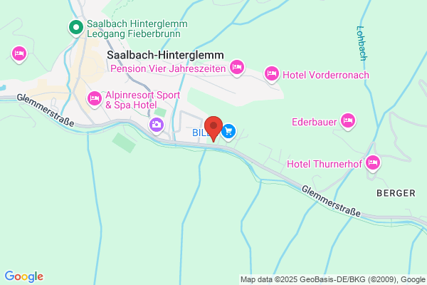 Schischule Saalbach - Hans Hinterholzer.
