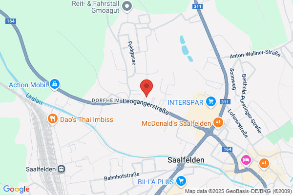 DPF Profi Saalfelden GmbH