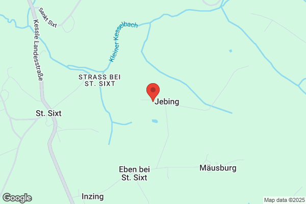 Malerei Wolfgang Steininger