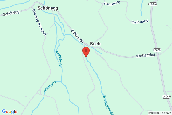 Ferdinand Buchinger