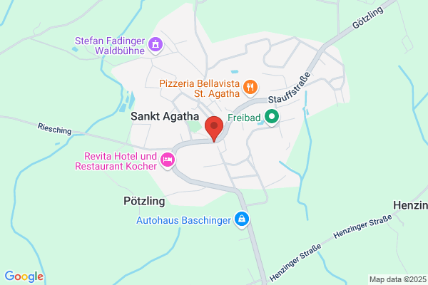 Gasthaus Fadingerhof Pub-Panini