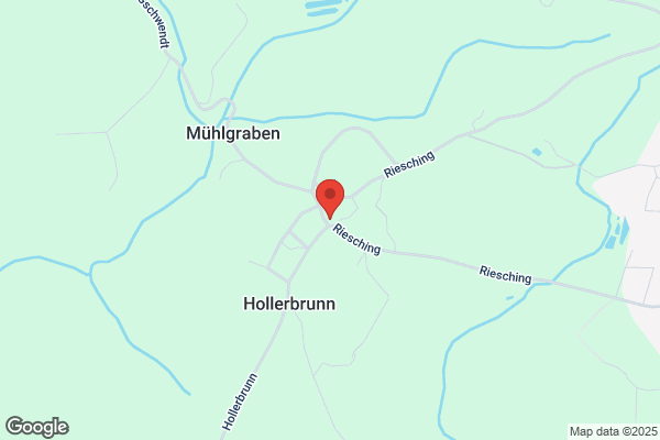 Haider und Lehner OEG