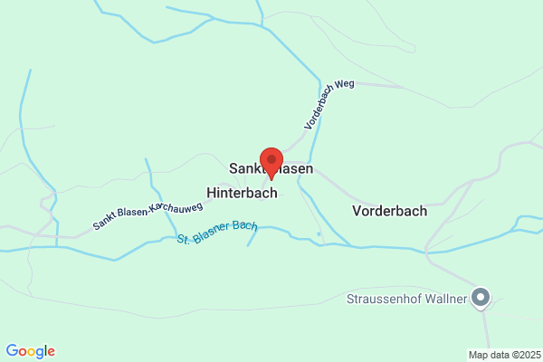 Johann Leitner