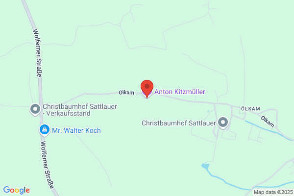Anton Kitzmueller