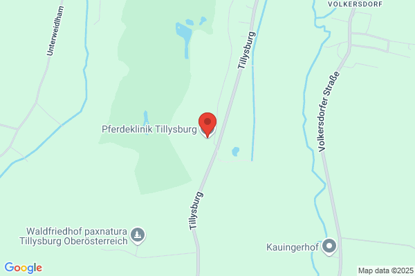 Pferdeklinik Tillysburg Dr Clemens Mahringer und Dr Christian Franz