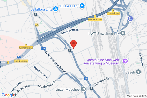 LINZ STROM Vertrieb Nfg GmbH und Co. KG