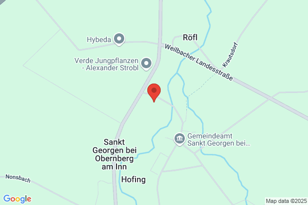 Niklas Hans