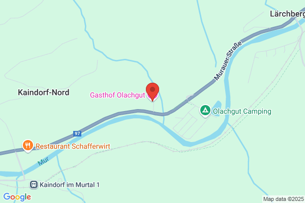 Gasthaus Olachgut Fam. Feiel