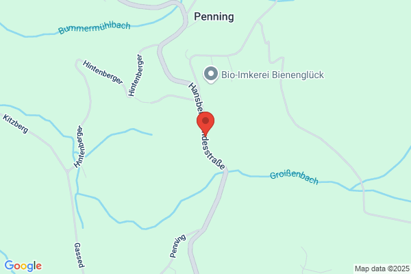 Hedwig Brunner