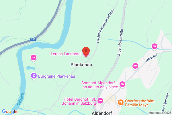 Plankenauwirt