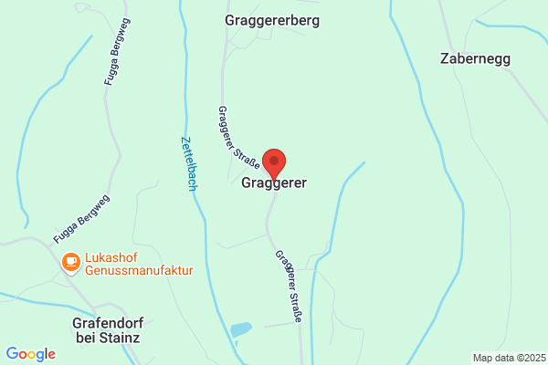Reifgraber Klaus