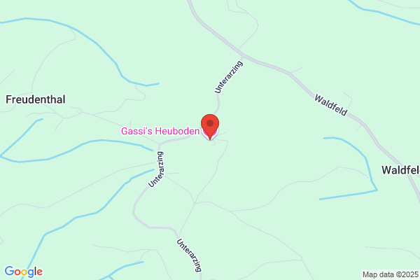Gasthaus z lustigen Hauer