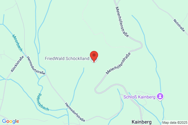 Friedwald Kainer