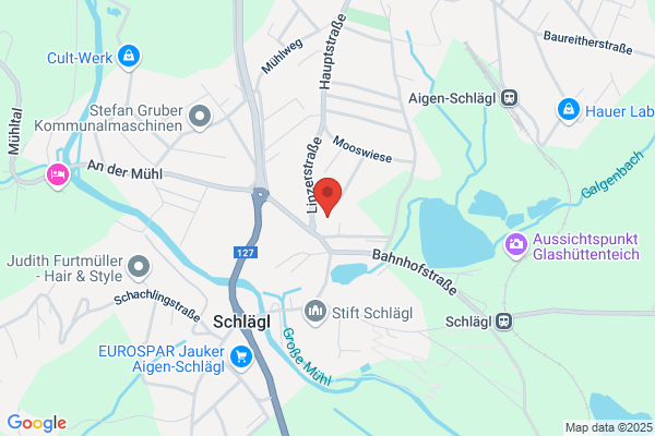 Sieglinde Pisslinger OEG